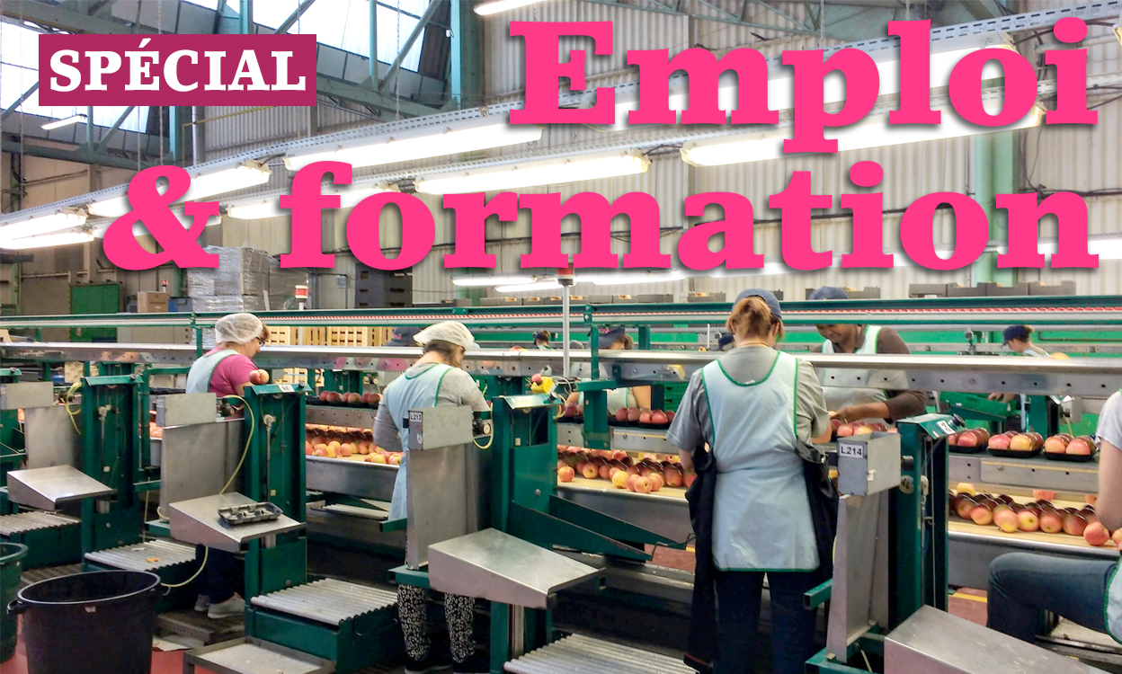 Emploi & Formation Cofruidoc